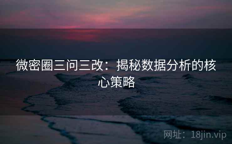 微密圈三问三改：揭秘数据分析的核心策略